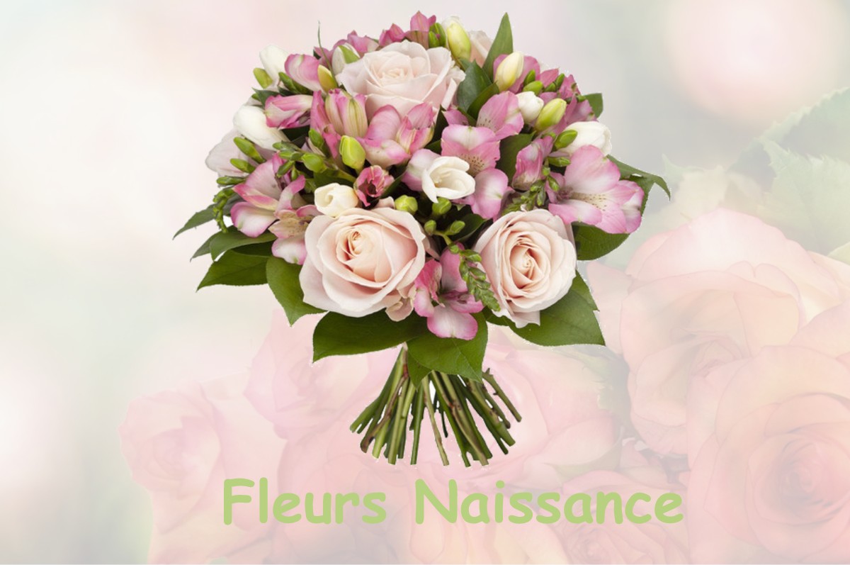 fleurs naissance SAINT-AMAND-DE-COLY
